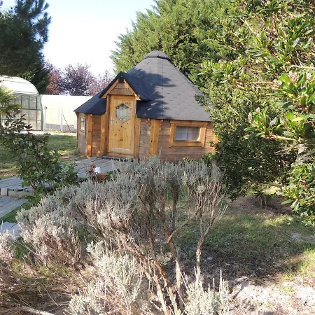 Atypique Kota Noah Location En Salle D'eau Privative A 20m *