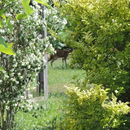 Domek alpejski Atypique Kota Noah Location En Salle D'eau Privative A 20m