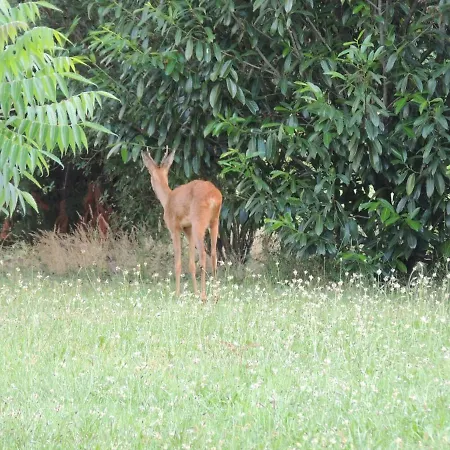 Atypique Kota Noah Location En Salle D'eau Privative A 20m *