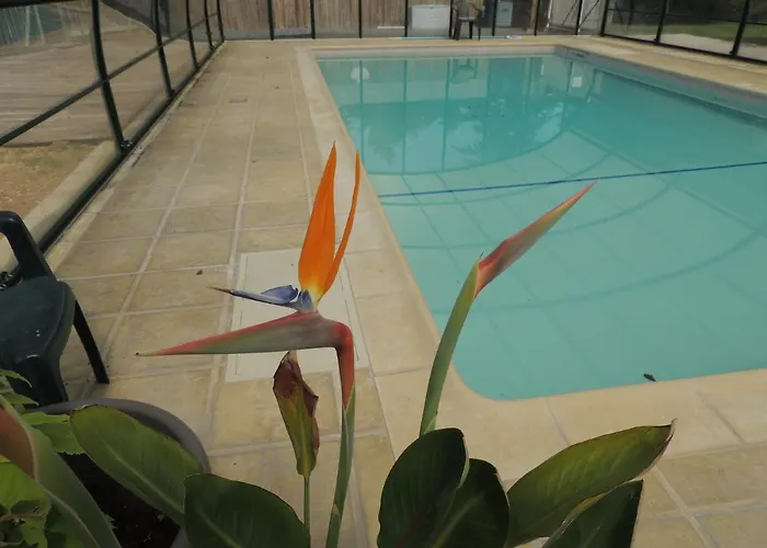 Atypique Kota Noah Location En Salle D'eau Privative A 20m