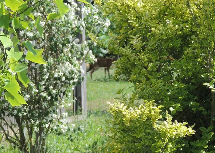 Chalet Atypique Kota Noah Location En Salle D'eau Privative A 20m